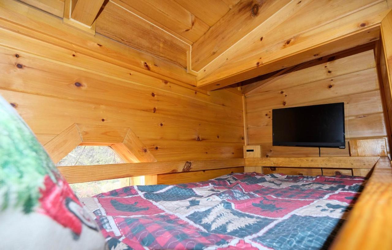 Lazy Bear Lodge Gatlinburg Buitenkant foto